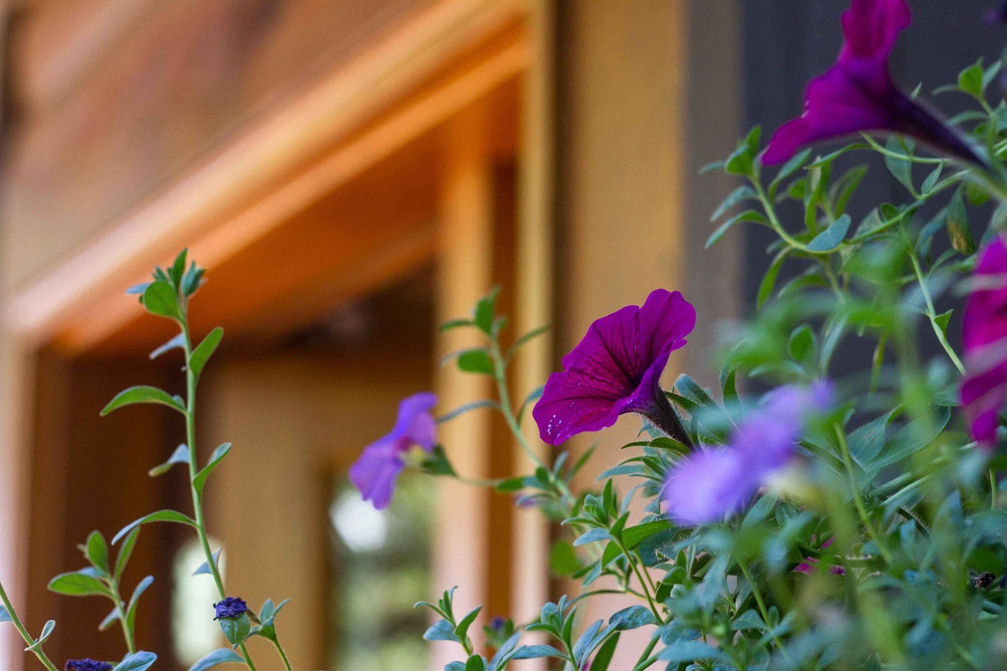 Tranquility Bay Waterfront Inn シーシェルト エクステリア 写真